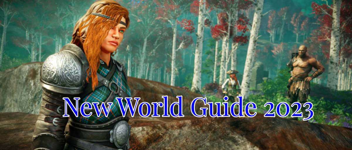 New World Guide 2023
